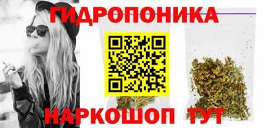 прущий лед Новозыбков