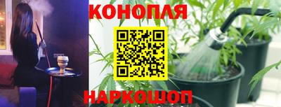 амф Новодвинск